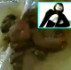 A multi-camera angle Japanese video featuring a girl squatting between two chairs and taking a shit. We get to see the close-up of her ass and another angle from afar. She later pokes at her shit with chopsticks.